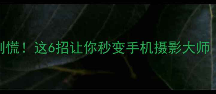 图片 📱手机拍照模糊别慌！这6招让你秒变手机摄影大师（附保姆级教程）