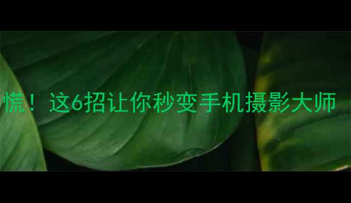 图片 📱手机拍照模糊别慌！这6招让你秒变手机摄影大师（附保姆级教程）1