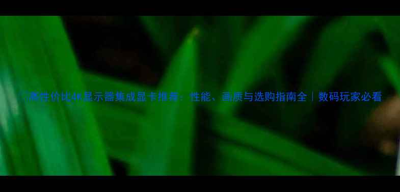 图片 📱高性价比4K显示器集成显卡推荐：性能、画质与选购指南全｜数码玩家必看