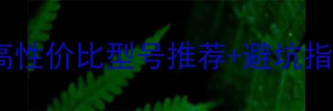 图片 📸哈苏微单相机全：高性价比型号推荐+避坑指南，附详细参数对比2
