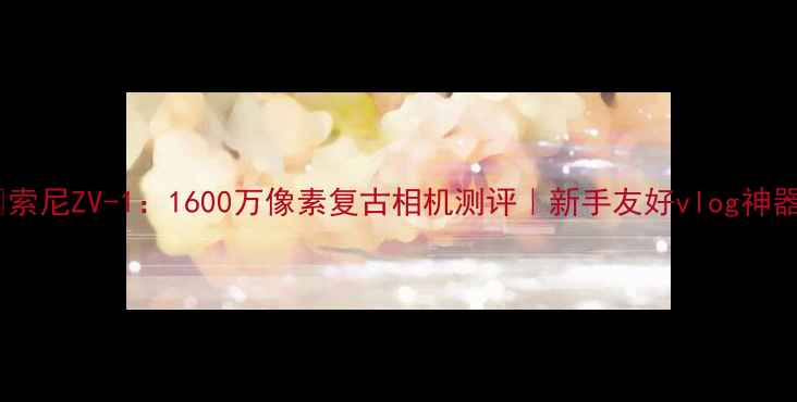 图片 📸索尼ZV-1：1600万像素复古相机测评｜新手友好vlog神器1