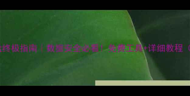 图片 🔒电脑加密磁盘终极指南｜数据安全必看！免费工具+详细教程（附避坑攻略）2