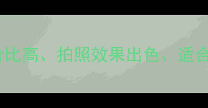 图片 DC数码相机选购指南：性价比高、拍照效果出色、适合新手入门的10款机型推荐1