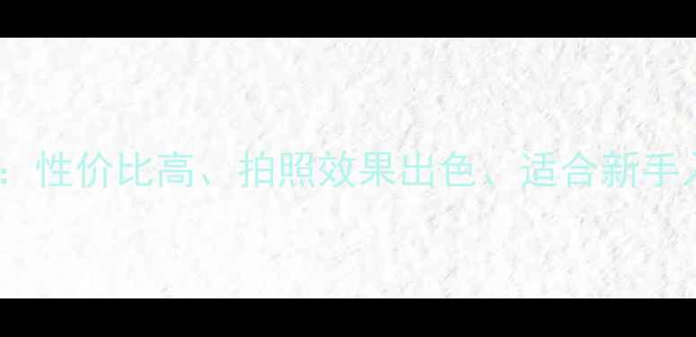 图片 DC数码相机选购指南：性价比高、拍照效果出色、适合新手入门的10款机型推荐2