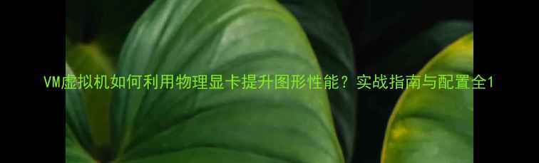 图片 VM虚拟机如何利用物理显卡提升图形性能？实战指南与配置全1