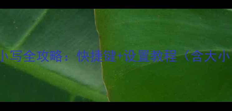 图片 Windows和Mac电脑切换大小写全攻略：快捷键+设置教程（含大小写锁定与特殊字符处理）2