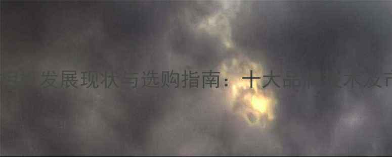 图片 中国单反相机发展现状与选购指南：十大品牌技术及市场趋势2