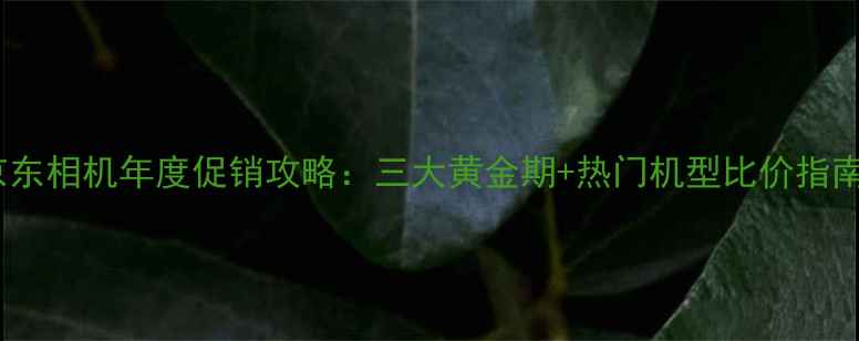 图片 京东相机年度促销攻略：三大黄金期+热门机型比价指南2