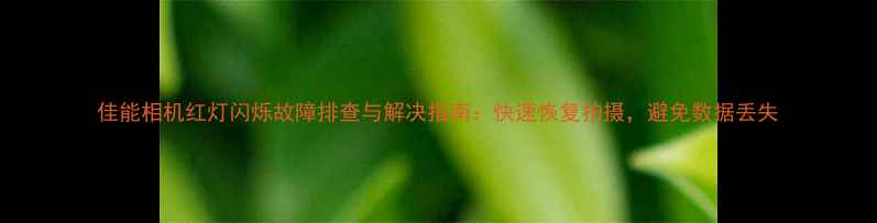 图片 佳能相机红灯闪烁故障排查与解决指南：快速恢复拍摄，避免数据丢失