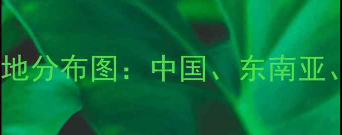 图片 全球手机制造基地分布图：中国、东南亚、印度产业链全1