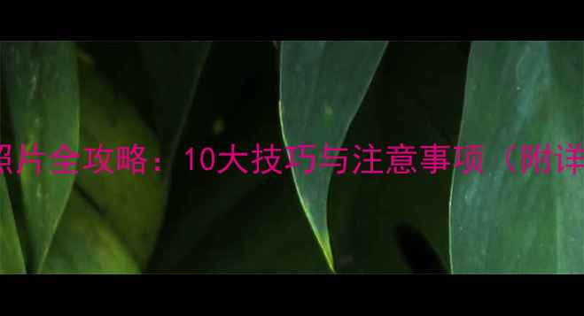 图片 单反相机保存照片全攻略：10大技巧与注意事项（附详细操作指南）2