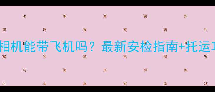 图片 单反相机能带飞机吗？最新安检指南+托运攻略1