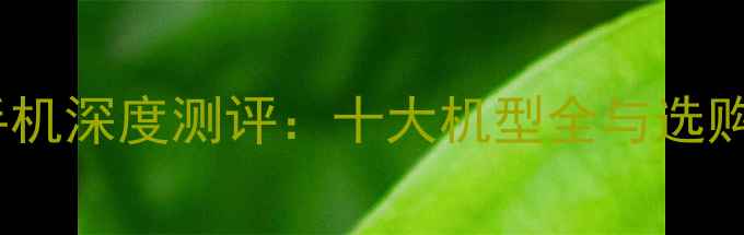 图片 度3D手机深度测评：十大机型全与选购指南2