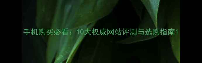 图片 手机购买必看：10大权威网站评测与选购指南1