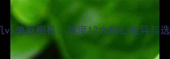 图片 数码相机vs单反相机：深度12大核心差异与选购指南2