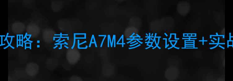 图片 新人必看！婚礼摄影全攻略：索尼A7M4参数设置+实战技巧（附菜单截图）1