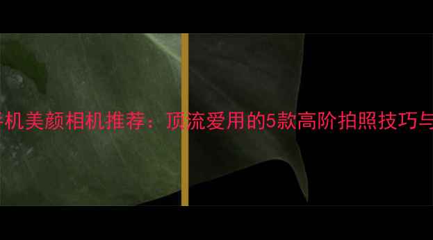 图片 明星同款手机美颜相机推荐：顶流爱用的5款高阶拍照技巧与参数对比1
