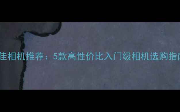 图片 最佳相机推荐：5款高性价比入门级相机选购指南1