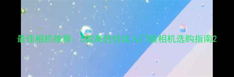 图片 最佳相机推荐：5款高性价比入门级相机选购指南2