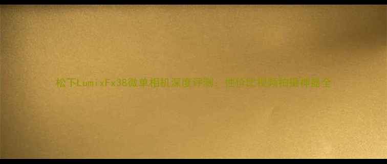 图片 松下LumixFx38微单相机深度评测：性价比视频拍摄神器全