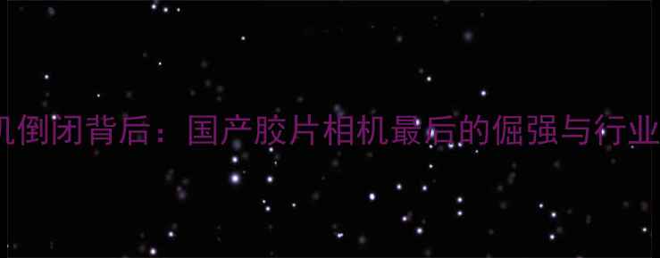 图片 海鸥相机倒闭背后：国产胶片相机最后的倔强与行业启示录1