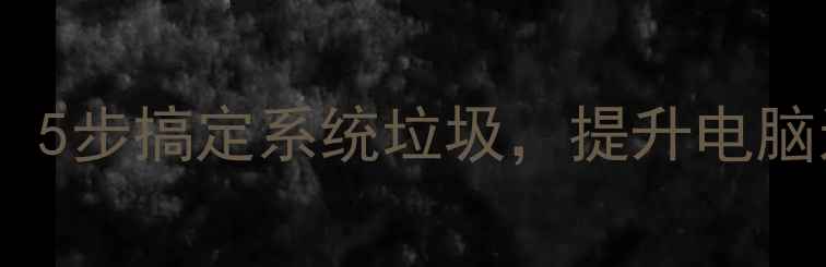 图片 电脑垃圾清理专家最新版：5步搞定系统垃圾，提升电脑运行速度（附详细教程）2