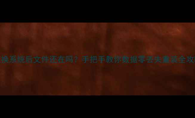 图片 电脑换系统后文件还在吗？手把手教你数据零丢失重装全攻略🔧