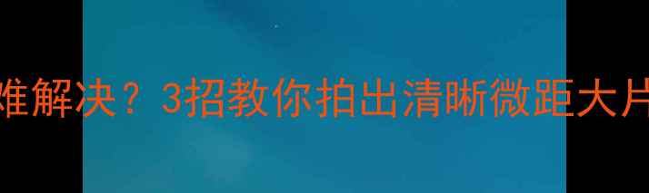 图片 相机近距离模糊难解决？3招教你拍出清晰微距大片（附实战技巧）