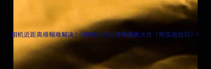 图片 相机近距离模糊难解决？3招教你拍出清晰微距大片（附实战技巧）1