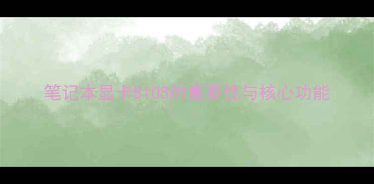 图片 笔记本显卡BIOS的重要性与核心功能