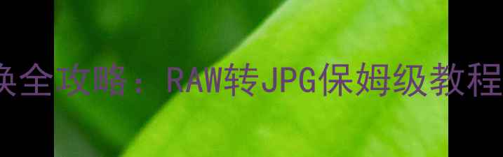 图片 索尼相机格式转换全攻略：RAW转JPG保姆级教程及免费工具推荐2