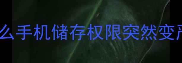 图片 🌟为什么手机储存权限突然变严格？2