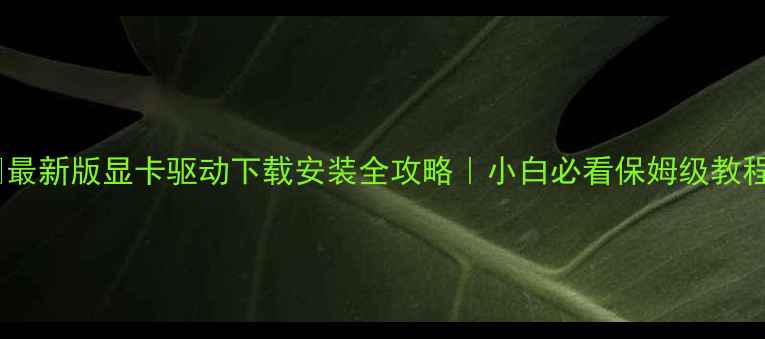 图片 🔥最新版显卡驱动下载安装全攻略｜小白必看保姆级教程1